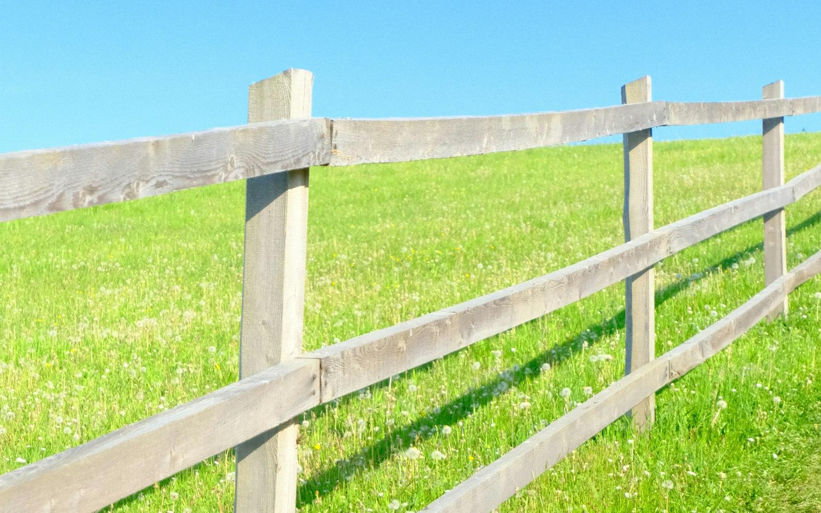 Fencing design — Sentry Fence & Gate