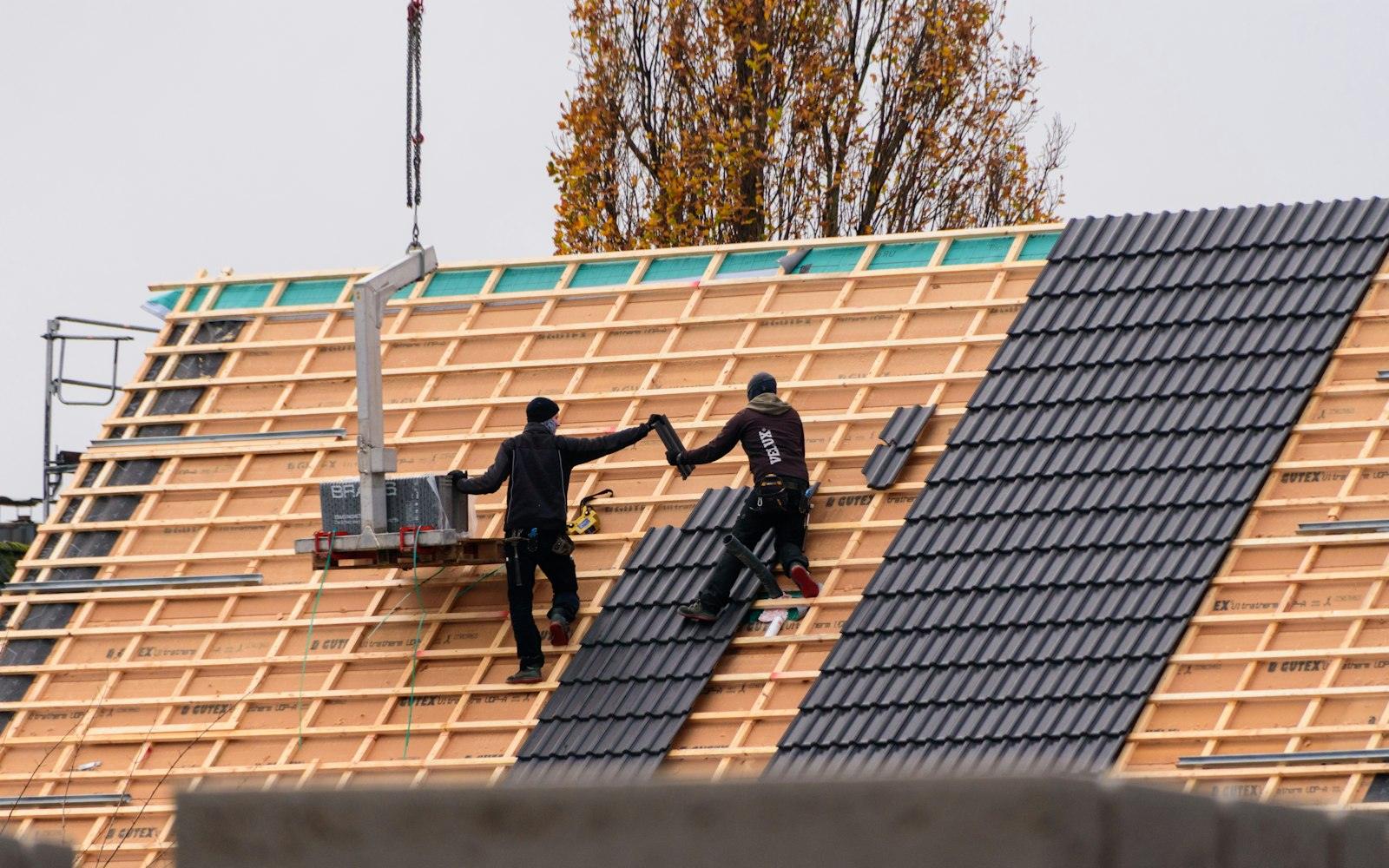 Roofing design — Apex Roof Systems